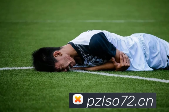 买球赛的网站平台生态图